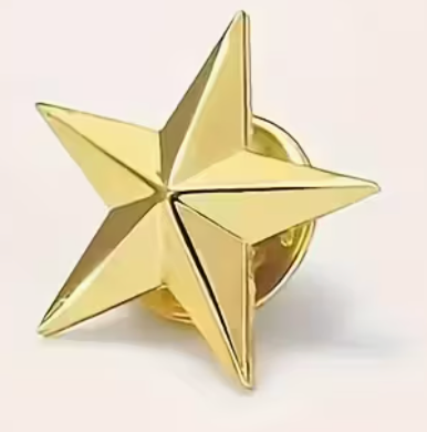 Pin - Gullstjerne ⭐️