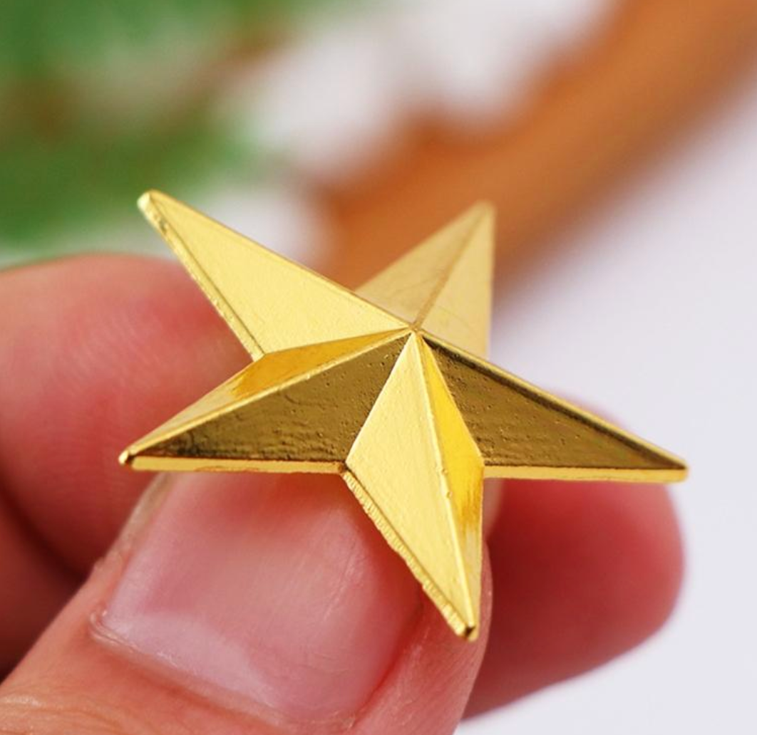 Pin - Gullstjerne ⭐️